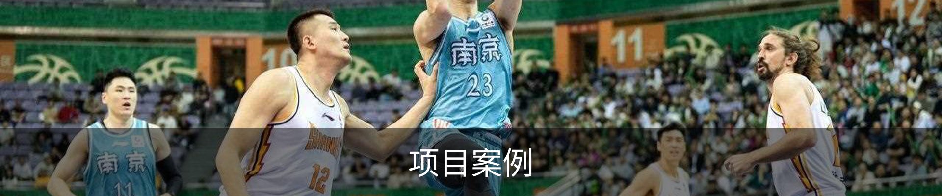 项目案例